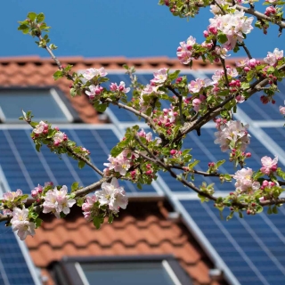 panouri solare eon